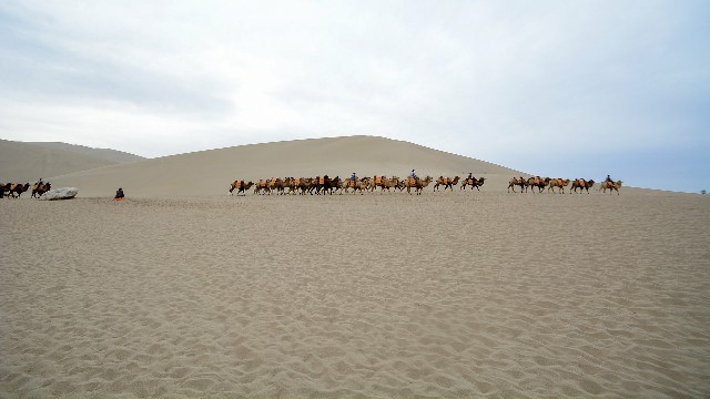 拼多多补单软件