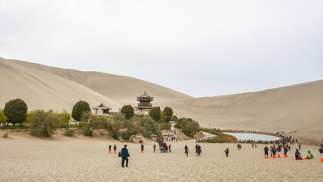 拼多多补单软件