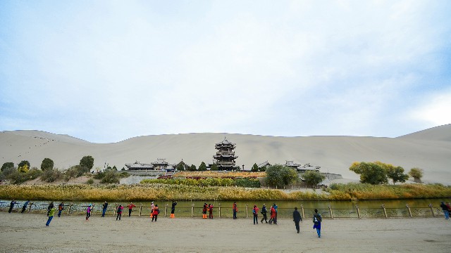 拼多多补单软件