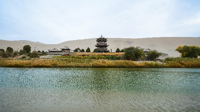 拼多多补单软件