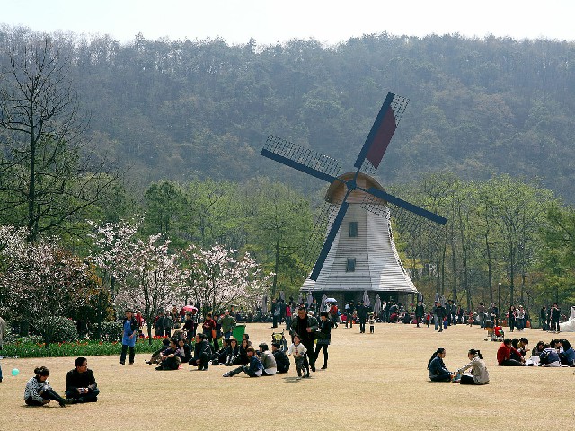 拼多多补单软件