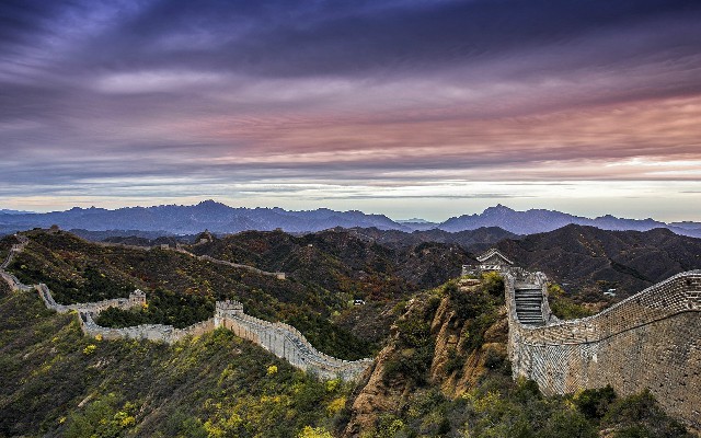 拼多多补单软件