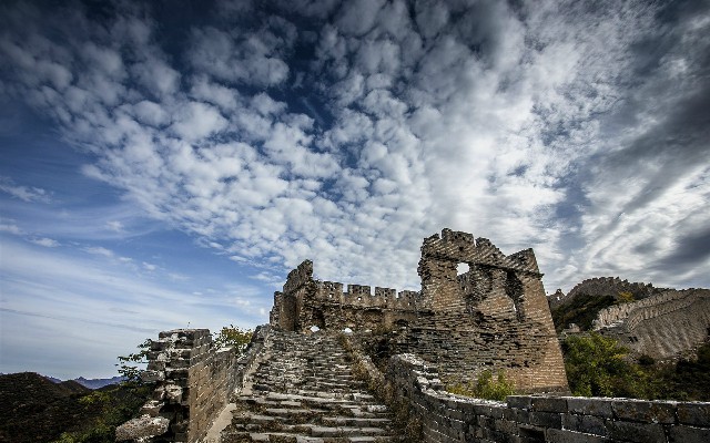 拼多多补单软件