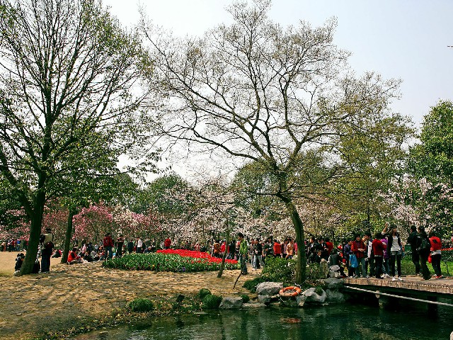 拼多多补单软件