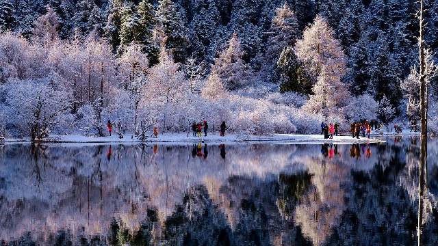 拼多多补单软件