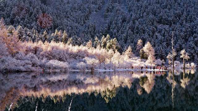 拼多多补单软件