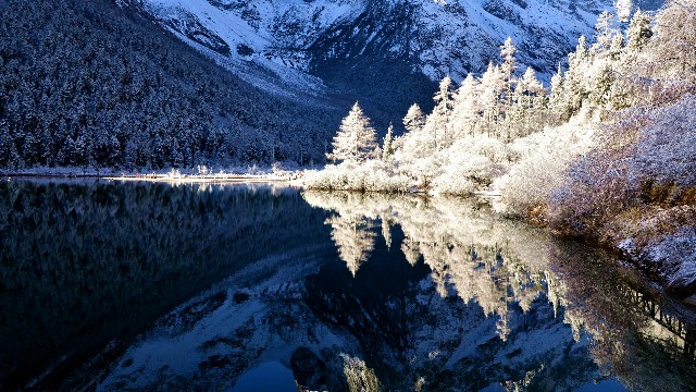 拼多多补单软件