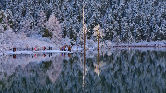 拼多多补单软件