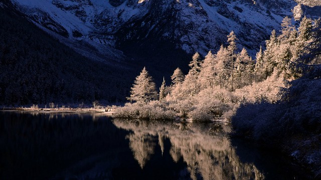 拼多多补单软件