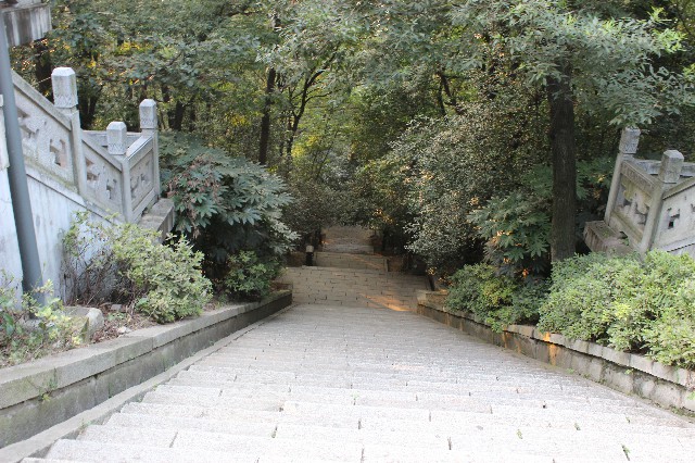 拼多多补单软件