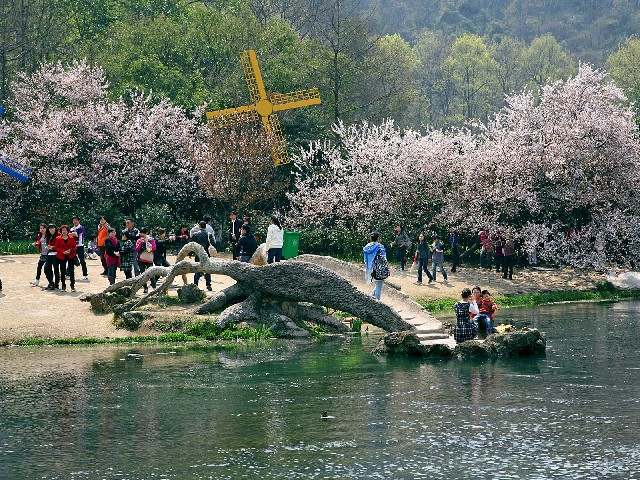 拼多多补单软件