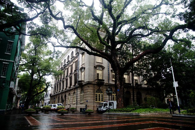 拼多多补单软件