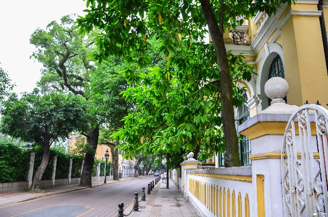 拼多多补单软件