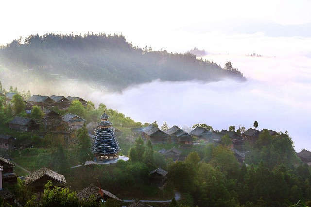 拼多多补单软件