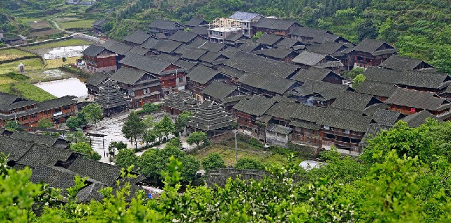 拼多多补单软件