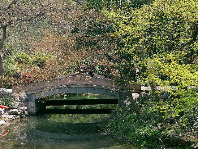 拼多多补单软件