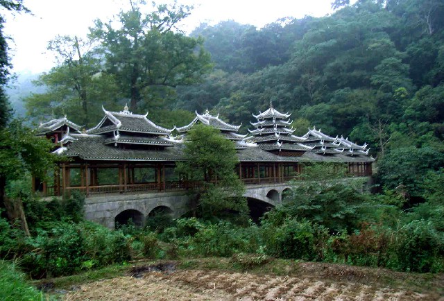 拼多多补单软件