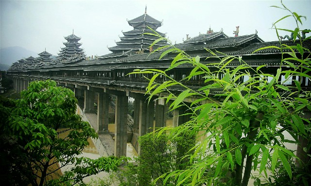 拼多多补单软件