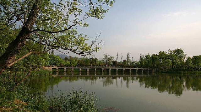 拼多多补单软件