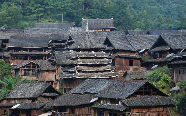 拼多多补单软件