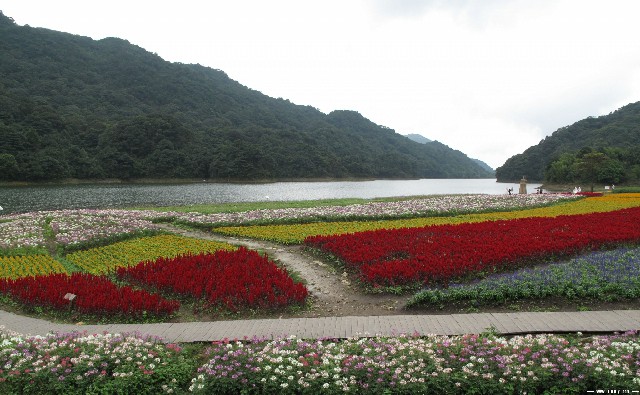 拼多多补单软件