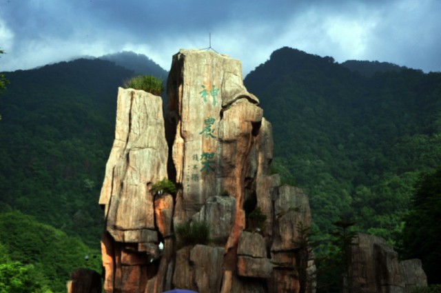 拼多多补单软件