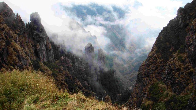 拼多多补单软件