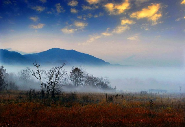 拼多多补单软件