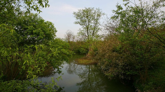 拼多多补单软件