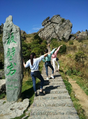 拼多多补单软件