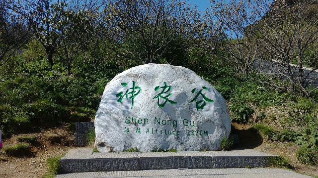 拼多多补单软件