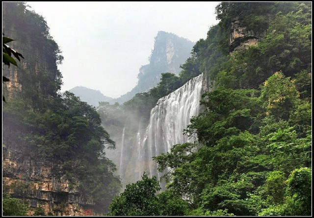 拼多多补单软件