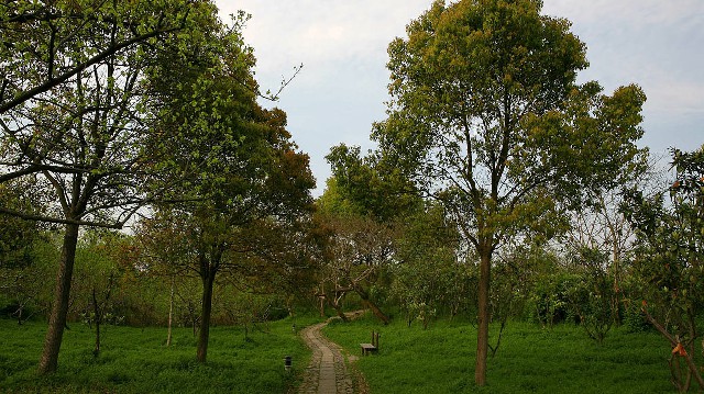 拼多多补单软件