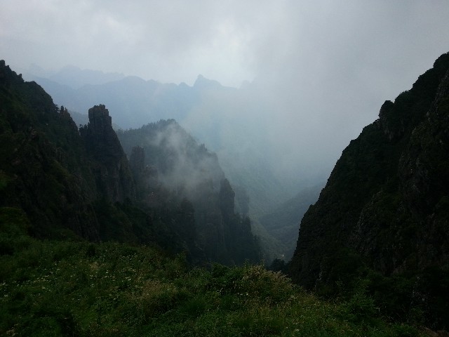 拼多多补单软件