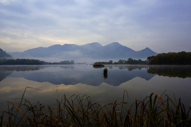 拼多多补单软件