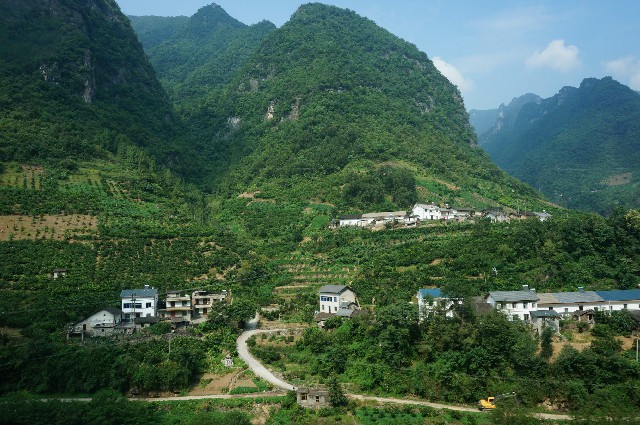 拼多多补单软件