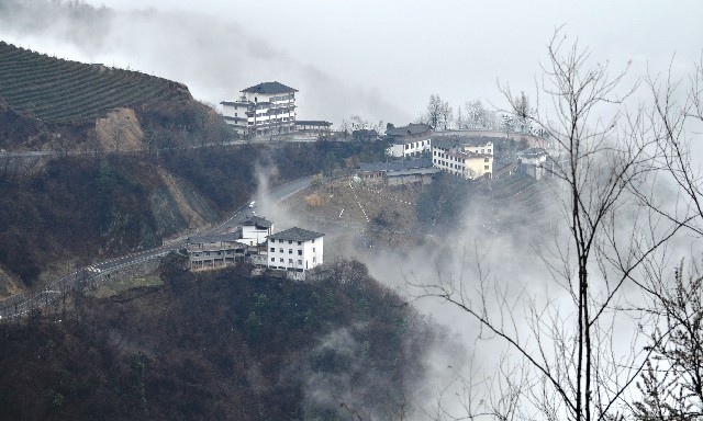 拼多多补单软件