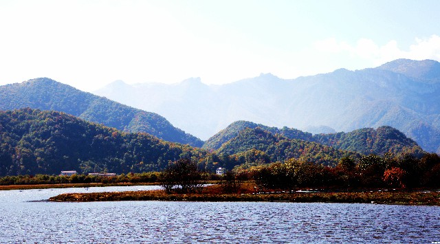 拼多多补单软件