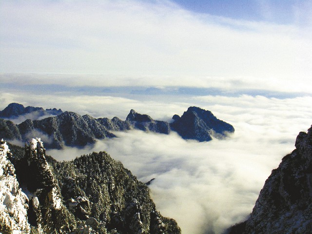 拼多多补单软件