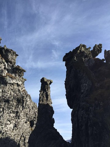 拼多多补单软件