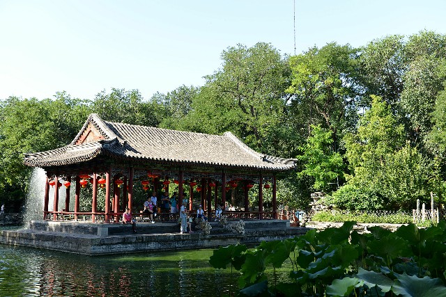 拼多多补单软件