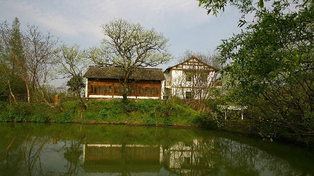 拼多多补单软件