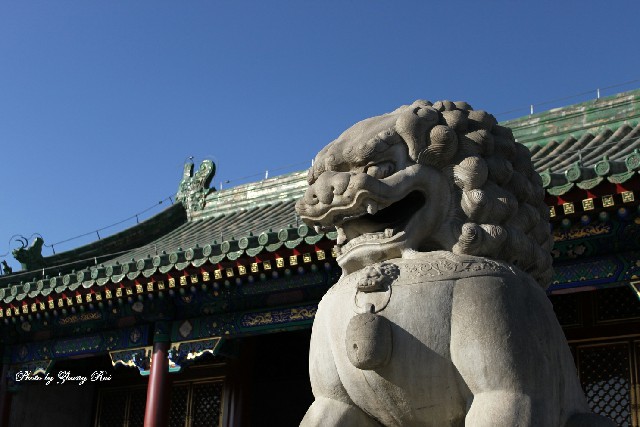 拼多多补单软件