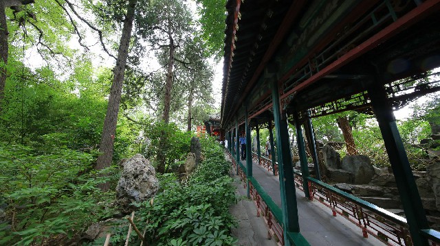 拼多多补单软件