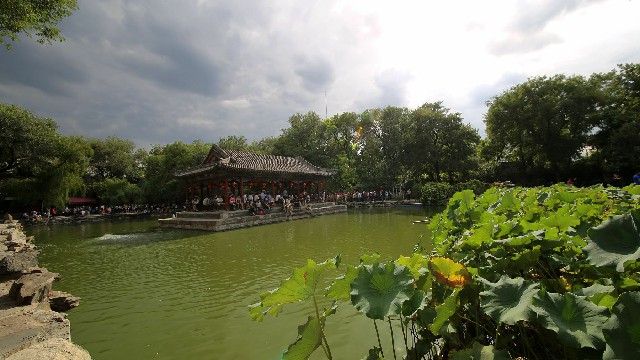 拼多多补单软件