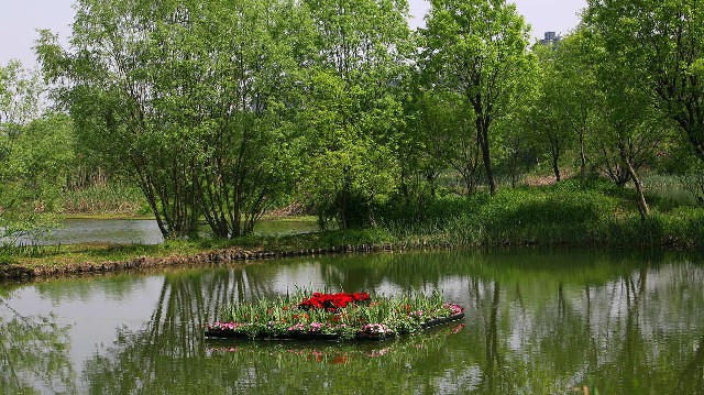 拼多多补单软件