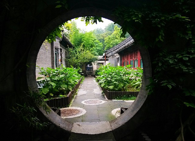 拼多多补单软件