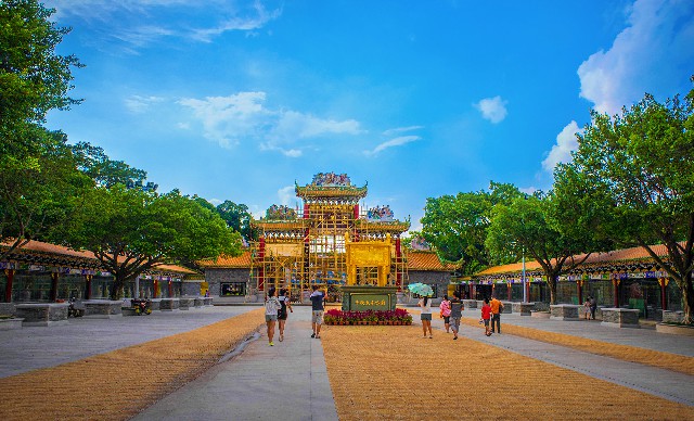 拼多多补单软件