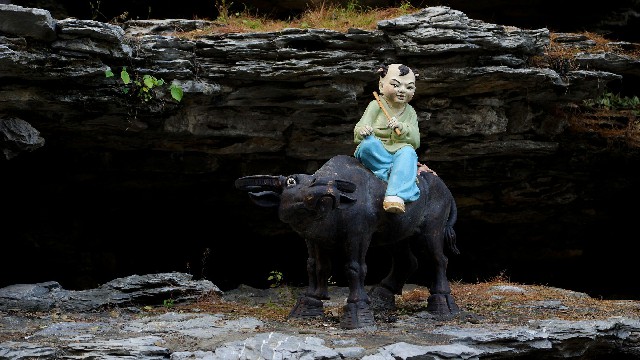 拼多多补单软件