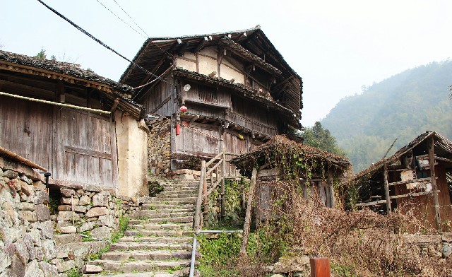 拼多多补单软件